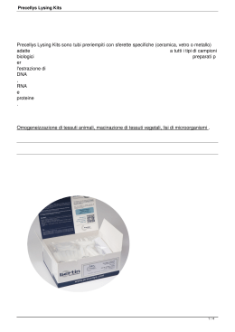 Precellys Lysing Kits