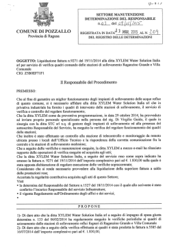 Testo provvedimento - Comune di Pozzallo