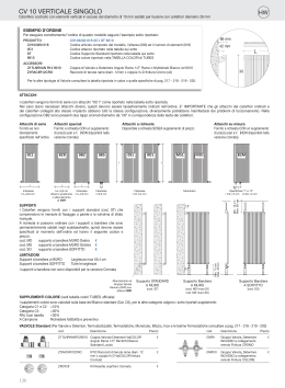 CV 10 VERTICALE SINGOLO