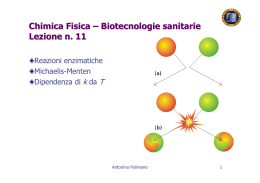 Chimica Fisica – Biotecnologie sanitarie Lezione n. 11