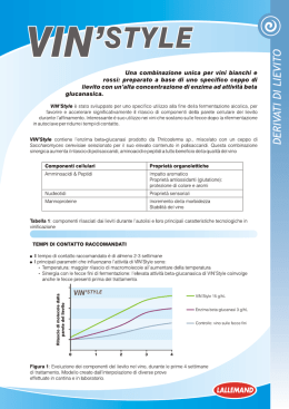 vin` style - Enoservice Sicilia