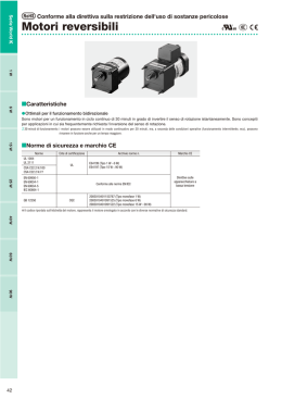 Motori reversibili