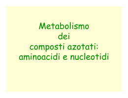 Metabolismo dei composti azotati: aminoacidi e