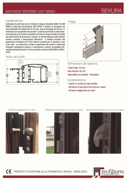 persiana blindata con telaio