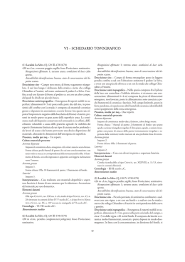 VI. Schedario topografico - Portale di Archeologia Medievale
