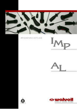 IMPUGNATURE E ASTE LEVA