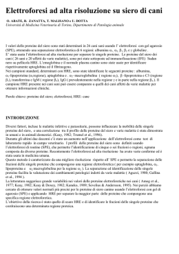 Elettroforesi ad alta risoluzione su siero di cani