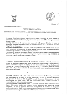 Disciplinare concernente la gestione della