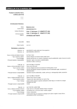 Curriculum Vitae Marrosu Dino