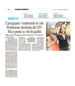 vendemmia in calo. Produzione diminuita del 20%. Ma si