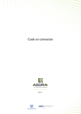 Cos`&egrave; un consorzio - Consorzio Stabile Agoraa