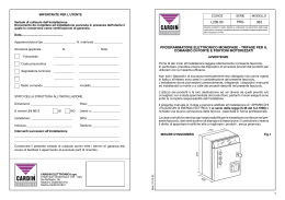 1 programmatore elettronico monofase - trifase