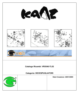 VRX540-TL52 Categoria: DECESPUGLIATORI