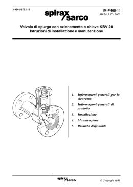 Valvola di spurgo con azionamento a chiave KBV 20