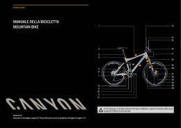 Manuale in pdf