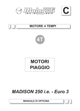 M0069 Madison 3 250 IE Motore