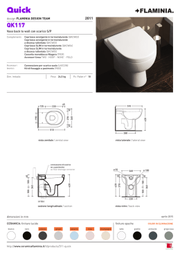 design FLAMINIA DESIGN TEAM Vaso back to wall con scarico S/P
