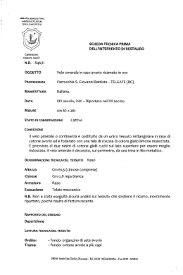 Scheda restauro Velo omerale 2
