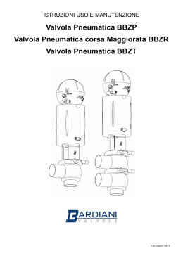 Valvola Pneumatica BBZP Valvola Pneumatica corsa Maggiorata