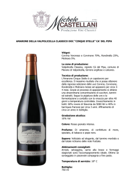 Vine varieties: 62% Corvina Veronese, 20% Rondinella, 5
