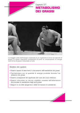 METABOLISMO DEI GRASSI