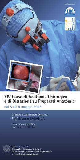 XIV Corso di Anatomia Chirurgica e di Dissezione su