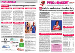 PINK BASKET - Basket Costa