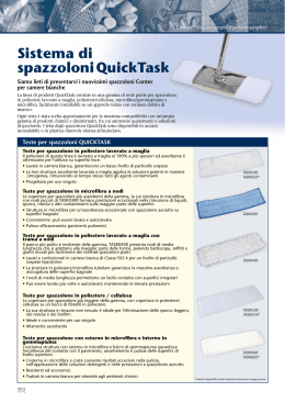Sistema di spazzoloni QuickTask - IPS