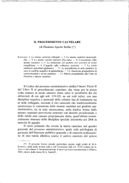 Il procedimento cautelare