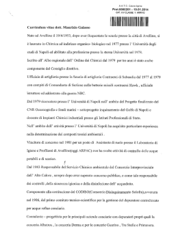 curriculum galasso