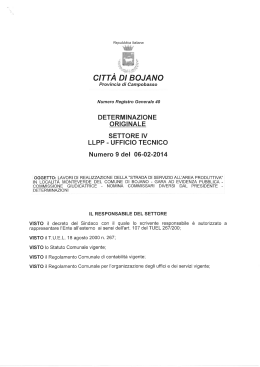 Determina n. 40 del 06/02/2014