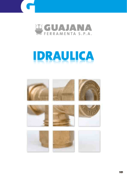 IDRAULICA - Guajana Ferramenta spa