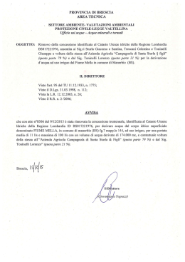` PROVINCIA DI BRESCIA AREA TECNICA