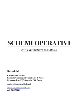 Schemi operativi al Codice della Strada