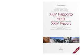 XXIV Rapporto 2013 XXIV Report