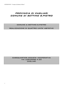 DESCRIZIONE dei LAVORI- SETTIMO S.PIETRO-