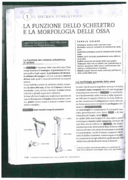Mimmo