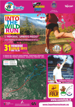 INTO THE WILD castellano 2015