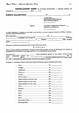 modello danni da eventi calamitosi