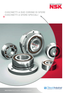 cuscinetti a due corone di sfere cuscinetti a sfere speciali