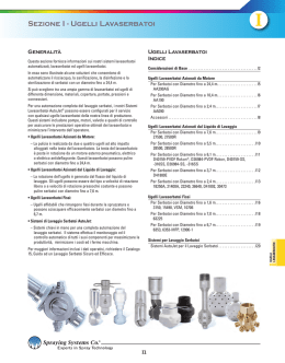 Sezione I - Ugelli Lavaserbatoi