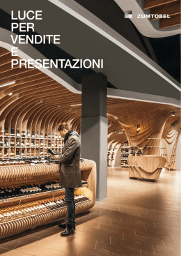 LUCE PER VENDITE E PRESENTAZIONI