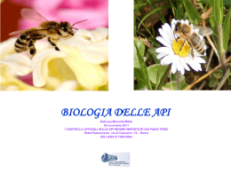 BIOLOGIA DELLE API