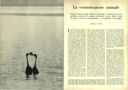 La comunicazione animale