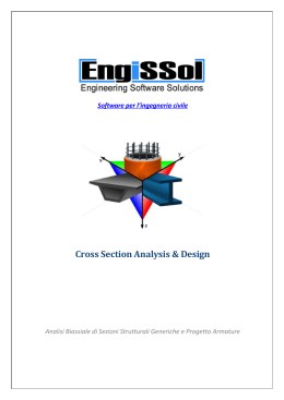 Manuale Cross Section Analysis & Design