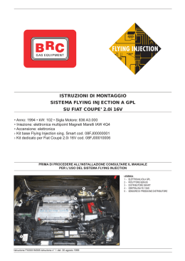 ISTRUZIONI DI MONTAGGIO SISTEMA FLYING INJECTION A GPL