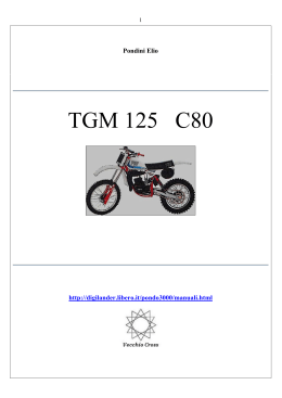 TGM 125 C80