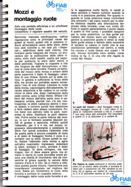 Mozzi e ruote - WordPress.com