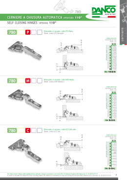 cerniere a chiusura automatica apertura 110