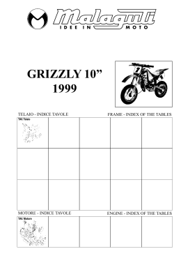 Copertina Grizzly 10-99